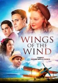 9780740334795 Wings Of The Wind (DVD)