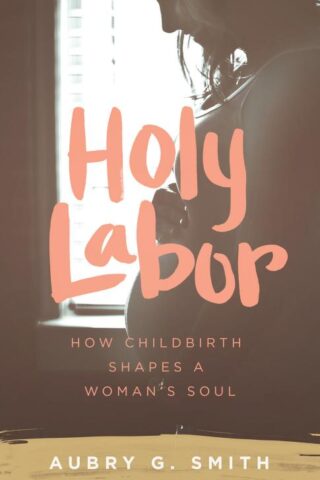 9781577997382 Holy Labor : How Childbirth Shapes A Woman's Soul