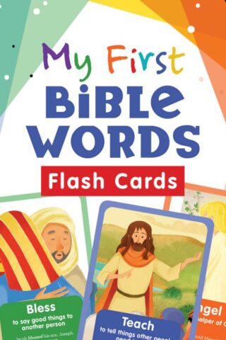 9781643529011 My First Bible Words Flash Cards