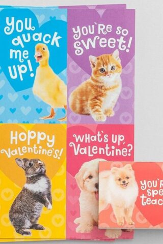 081983606182 Baby Animals Childrens Valentines