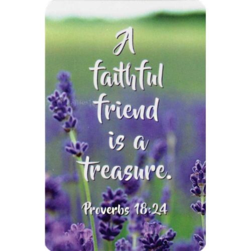 603799309622 Faithful Friend Pocket Card