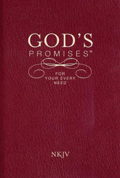 9781404186651 Gods Promises For Your Every Need NKJV