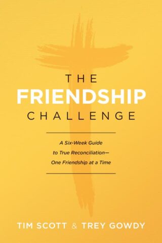 9781496430687 Friendship Challenge