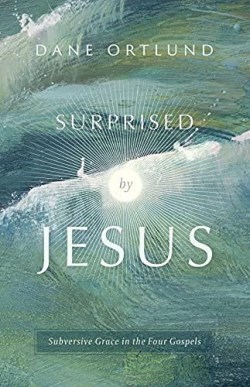 9781783973163 Surprised By Jesus