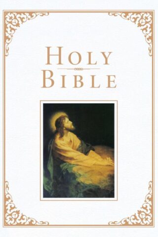 9781087774640 Family Bible