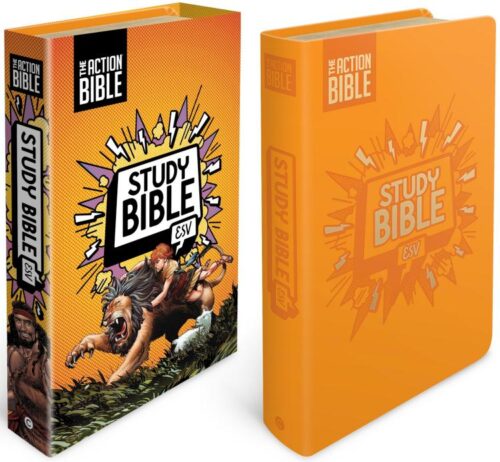 9780830787456 Action Bible Study Bible