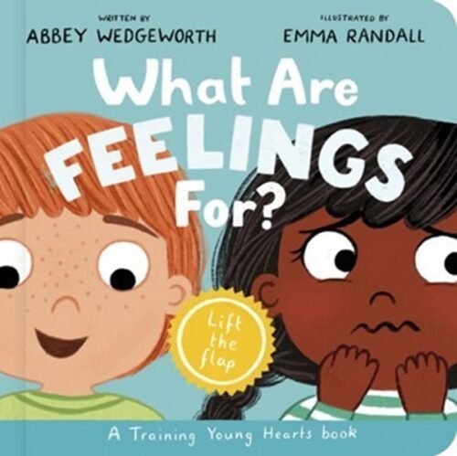 9781802543018 What Are Feelings For