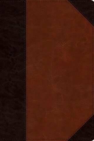 9781433593161 Mens Study Bible