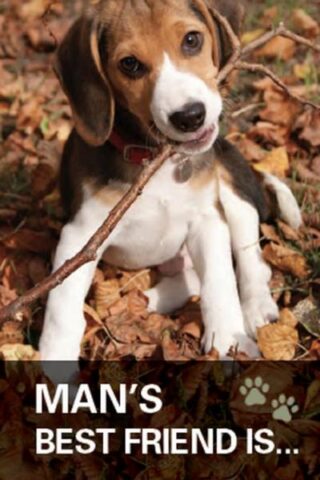 9781910587249 Mans Best Friend Is