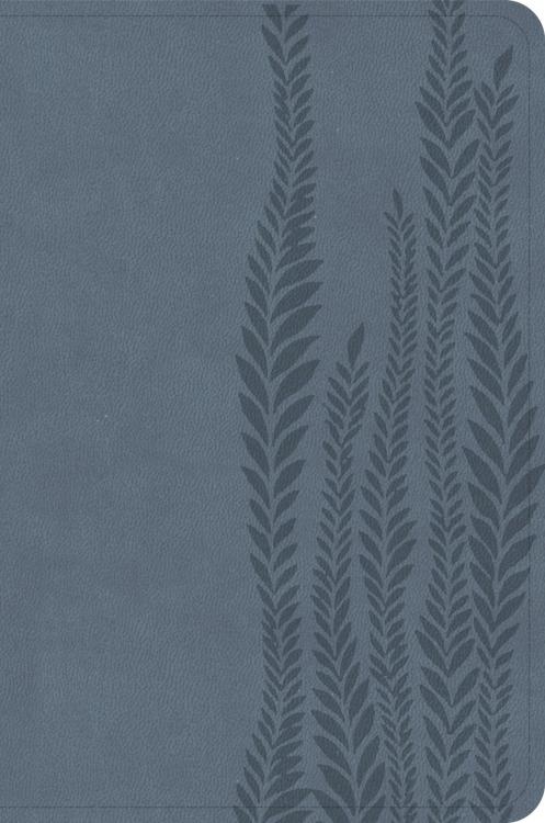 9798384533375 Large Print Compact Reference Bible Digital Study Edition