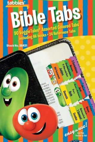 084371284313 VeggieTales Bible Indexing