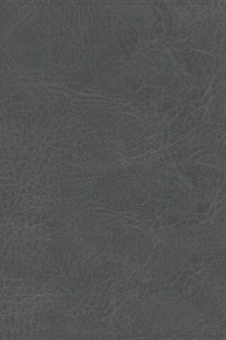 9781087766102 He Reads Truth Bible