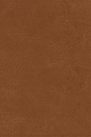 9781087766140 He Reads Truth Bible