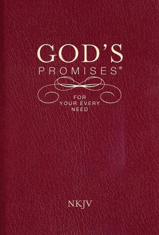 9781404186651 Gods Promises For Your Every Need NKJV
