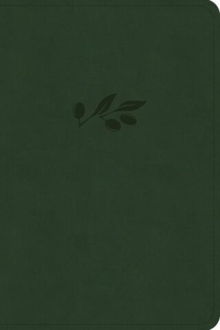 9798384533351 Large Print Compact Reference Bible Digital Study Edition