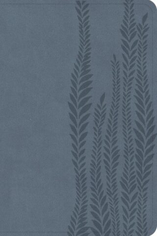 9798384533375 Large Print Compact Reference Bible Digital Study Edition