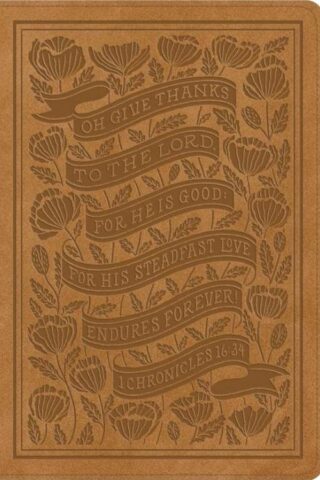 9798874902773 Womens Study Bible