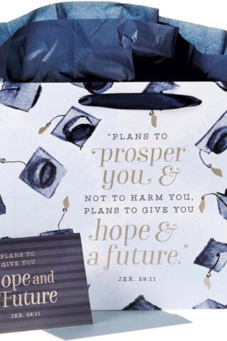 1220000134461 Navy Grad Landscape Gift Bag