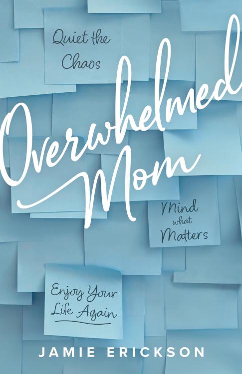 9780802427984 Overwhelmed Mom : Quiet The Chaos