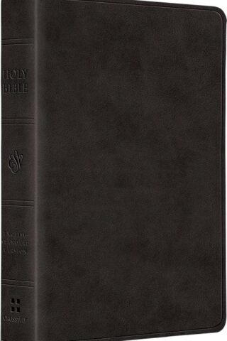 9798874903107 Value Large Print Compact Bible